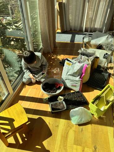 A child sits on a sunny wooden floor by large windows, preparing soil and planting seeds, surrounded by gardening supplies, trays, bags, and small containers.
