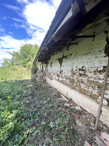Uma parede velha e parcialmente em ruínas ergue-se sob um telhado danificado. A vegetação crescida cobre o chão, e o céu acima está claro, com algumas nuvens espalhadas.