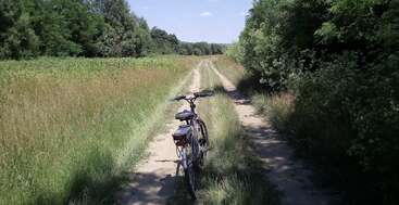 Uma bicicleta está parada em uma trilha estreita de terra, cercada por grama alta e árvores, sob um céu azul ensolarado, criando uma cena rural tranquila.