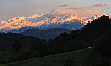 Snow-covered mountains bathed in a pinkish light tower above dark, rolling hills and green forests. The dramatic contrast highlights nature’s beauty at sunrise or sunset.