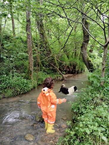 A child in an orange rain suit and yellow boots stands in a forest stream, watching a black and white dog play in the water.