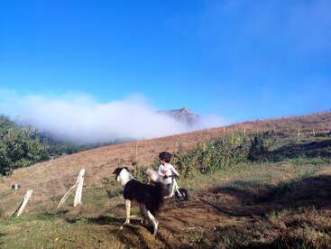 A young child on a small bike pauses on a grassy hillside beside a black-and-white dog, with misty mountains and a clear blue sky above.