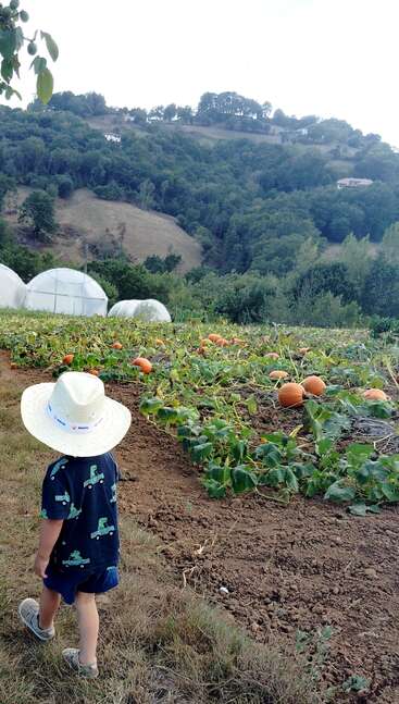 A child wearing a straw hat stands near a pumpkin patch, surrounded by lush green hills, greenhouses, and distant houses on a peaceful countryside landscape.