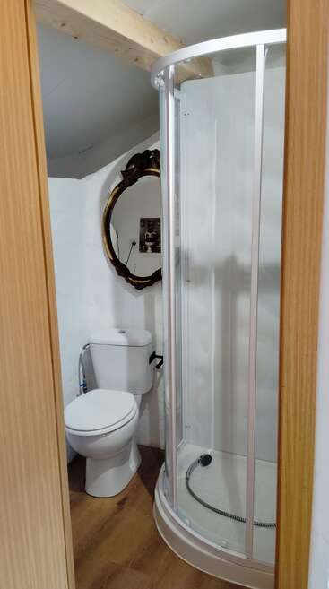 This image shows a compact bathroom with a glass shower, white toilet, wooden floor, white walls, and a decorative oval mirror above the toilet under a slanted ceiling.