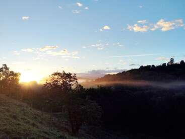 L'image montre un magnifique lever de soleil sur un paysage en pente douce, avec des arbres, de la brume, des collines et un ciel clair et lumineux parsemé de nuages doux et épars.