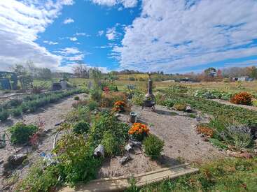 Bright garden scene with orange flowers, a rustic path, and various green plants under a vibrant blue sky with scattering clouds. Rural fields stretch beyond.