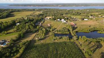 This aerial image showcases a lush, green rural landscape with vineyards, small bodies of water, scattered houses, farmland, trees, and a river in the background.