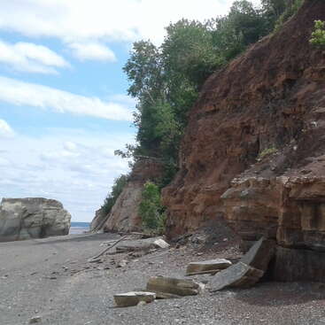 La imagen muestra un escarpado acantilado con una playa rocosa debajo, con escombros dispersos y exuberante vegetación en la parte superior del acantilado.