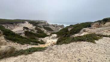 Eine schroffe Küstenlandschaft mit sandigen Klippen, verstreutem Grün und Büschen. Der wolkenverhangene Himmel trifft auf den fernen Ozean und schafft eine ruhige und doch wilde, unberührte Naturszene.
