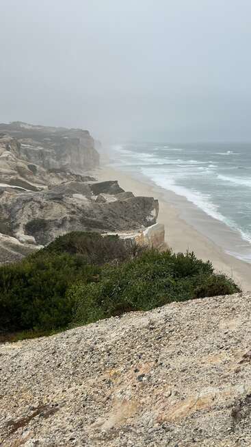 Eine neblige Küstenlinie mit schroffen Klippen und Sandstränden. Grüne Sträucher im Vordergrund. Die Wellen des Meeres plätschern sanft an die leere, neblige Küste.