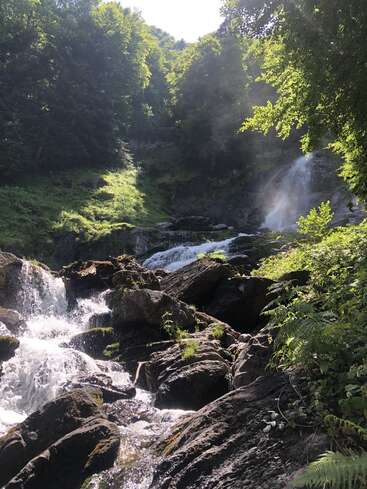 Sunlight filters through lush green trees above a cascading waterfall. Mist rises, illuminating rocks covered in moss and ferns, creating a serene, natural woodland scene.