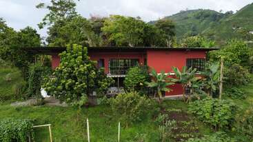 A vibrant red house sits surrounded by lush green vegetation and various trees, nestled in a hilly landscape, creating a peaceful, tropical, and natural environment.