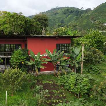 Uma casa vermelha vibrante fica cercada por uma vegetação verde exuberante e várias árvores, aninhada em uma paisagem montanhosa, criando um ambiente tranquilo, tropical e natural.