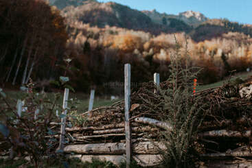 Au premier plan, des rondins de bois empilés et des branches forment une clôture rustique. Derrière, des arbres d'automne et des montagnes lointaines créent un paysage serein et naturel sous un ciel bleu.