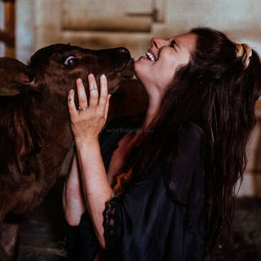 A woman joyfully embraces and laughs with a young brown calf indoors. Their faces are close, sharing a moment of affection and genuine happiness together.