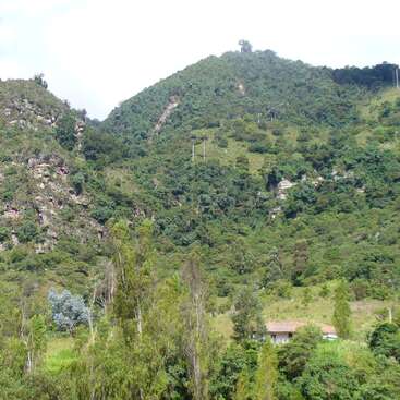 Un flanc de montagne verdoyant, couvert d'une forêt dense, avec des affleurements rocheux. Au pied de la montagne se trouve une petite maison rurale au toit de tuiles rouges, entourée de végétation.