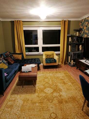 A cozy living room with yellow accents features a vibrant rug, velvet sofa, armchair, coffee table, cat tree, floral wallpaper, and nighttime window view.