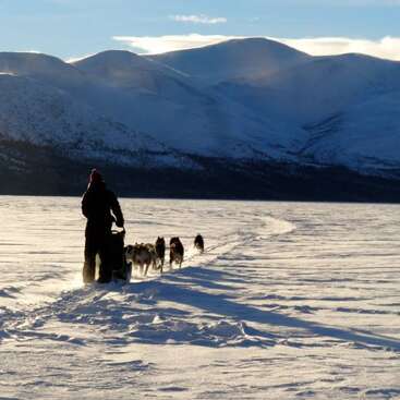 The image depicts a person mushing a team of dogs across a snowy landscape, with mountains visible in the background under a blue sky.