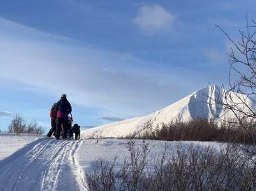 The image depicts a serene winter scene with a person standing on a snowy hill, surrounded by a dog, tracks, and a majestic snow-covered mountain in the distance.