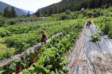 Drei Kinder laufen durch einen üppigen, grünen Gemüsegarten, der von bewaldeten Bergen umgeben ist, und das alles unter einem strahlend blauen Himmel. Im Hintergrund sieht man ein kleines Haus.