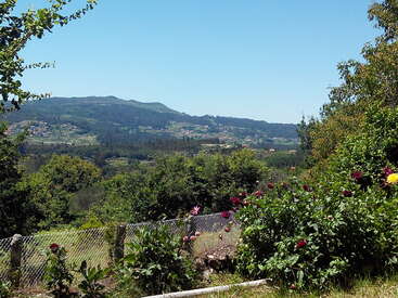 A imagem retrata uma paisagem serena com uma cerca de arame, vegetação exuberante, flores vibrantes e uma cadeia de montanhas distante sob um céu azul claro.