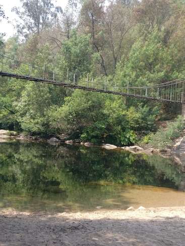 A imagem mostra uma ponte suspensa serena que atravessa um rio tranquilo, cercada por árvores e folhagens exuberantes, com uma praia de areia visível em primeiro plano.