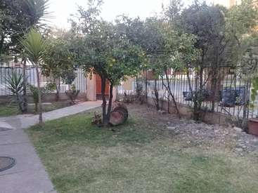 The image depicts a serene backyard scene featuring a lush green lawn, a small tree, and a black metal fence, with a pathway leading to a house in the background.
