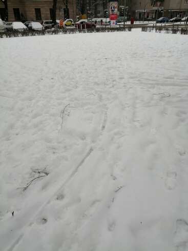 Scène urbaine enneigée avec des empreintes de pas fraîches et quelques brindilles éparpillées sur le sol. Des voitures garées et des bâtiments sont visibles à l'arrière-plan, de l'autre côté de la rue.