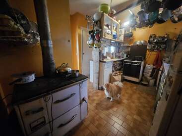 Une cuisine confortable et encombrée, avec des murs jaunes, des casseroles suspendues, une cuisinière vintage, des étagères remplies d'ustensiles et un chien tout doux debout sur le sol carrelé.