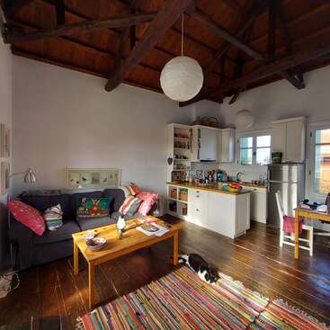This cozy living space features a sofa, colorful pillows, wooden beams, kitchen area, dining table, vibrant rug, cat relaxing on the floor, and warm natural light.