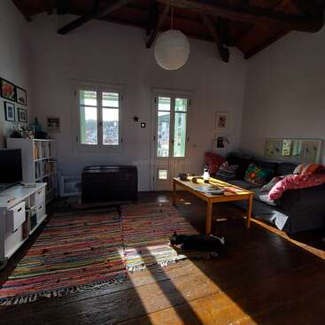 Cozy living room with colorful rug, comfortable sofa, coffee table, TV, bookshelves, and wall art. Sunlight streams through windows. A cat relaxes on the floor.