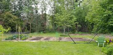 A lush backyard garden with several rectangular planting beds, green grass, tall trees, empty hammock stands, and two green Adirondack chairs near vibrant flowers.