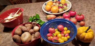 This image shows a variety of fresh produce on a countertop, including potatoes, carrots, green peppers, tomatoes, squash, apples, and citrus fruits.