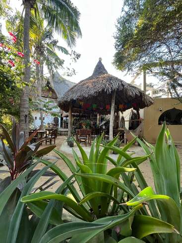 Un décor tropical en plein air comprend une hutte au toit de chaume, entourée d'une végétation luxuriante, de palmiers, de fleurs aux couleurs vives, de tables et de chaises en bois, ainsi que de décorations suspendues colorées baignées par la lumière du soleil.