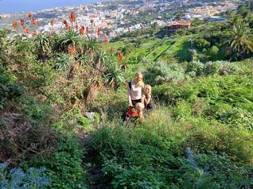 Dos personas y un perro en una ladera verde, rodeados de plantas de aloe. Al fondo se ve una ciudad en expansión y el océano.
