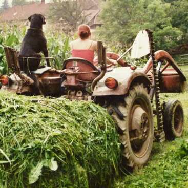 La imagen muestra a una mujer conduciendo un tractor con un perro sentado en el asiento, rodeada de exuberante vegetación y un gran montón de hierba cortada en primer plano.