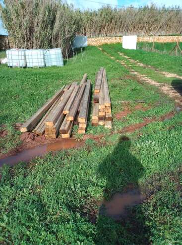 Stacks of wooden beams lie on green grass near a muddy puddle. Large plastic water containers and tall vegetation are visible in the background. Shadow foreground.