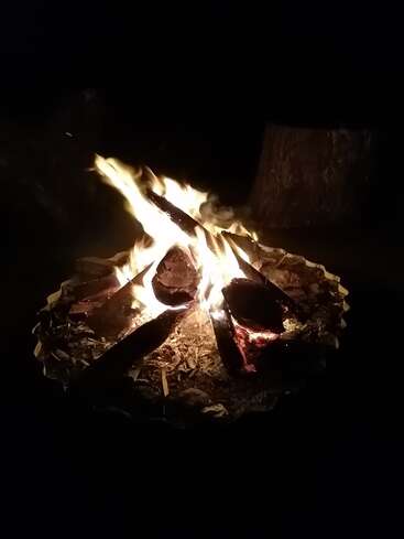 Das Bild zeigt ein lebendiges Lagerfeuer mit Flammen, die aus einem Haufen von Holzscheiten und Holzspänen aufsteigen, vor einem dunklen Hintergrund.