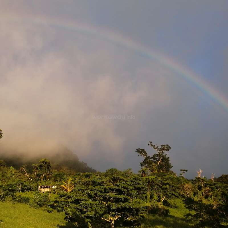 Das Bild zeigt eine ruhige Landschaft mit einem Regenbogen, üppigen Bäumen und einem kleinen Haus vor dem Hintergrund eines blauen Himmels mit Wolken.