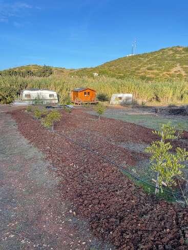 Uma pequena cabana de madeira e duas caravanas brancas ficam em um campo rural, cercadas por colinas, árvores jovens, solo recém-cultivado e céu azul claro.