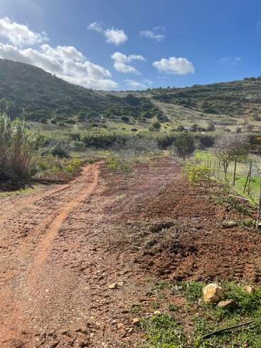 Um caminho de terra sinuoso passa por uma paisagem rural com vegetação dispersa, colinas ao fundo, céu azul acima e nuvens brancas e fofas em um dia ensolarado.