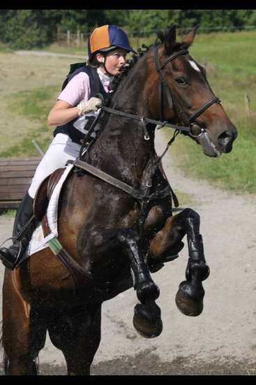 The image depicts a woman riding a brown horse, jumping over a dirt path, wearing a helmet and vest, with the horse\'s legs extended in mid-air.
