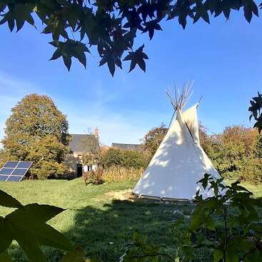 Uma tenda branca fica em um gramado verde, cercada por árvores e arbustos, com uma casa e painéis solares ao fundo, sob um céu azul claro.