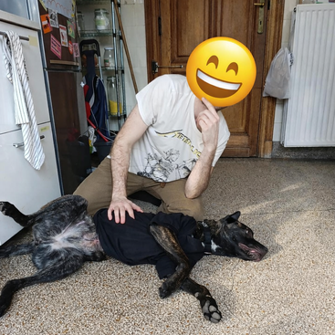 Eine Person, deren Gesicht von einem Smiley-Emoji verdeckt wird, posiert spielerisch und streichelt einen fröhlichen Hund, der auf dem Rücken liegt. Kulisse: eine Küche, entspannte und fröhliche Atmosphäre.