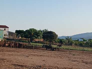 This image shows a rural farm scene with several cows in a fenced pasture, trees, a few buildings, and mountains in the background under a clear sky.