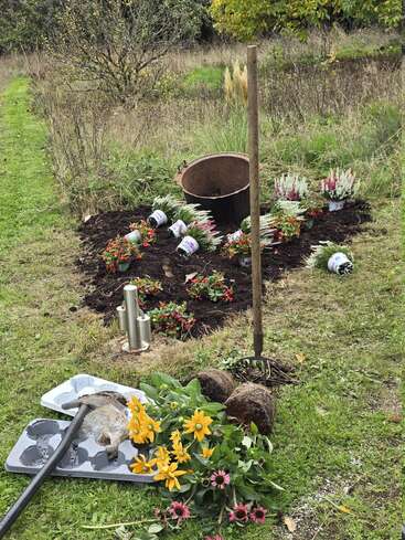 Une plate-bande est en train d'être préparée avec des fleurs et des outils divers. Des pots, une fourche et de la terre fraîche sont visibles. Des fleurs sauvages et des plantes sont prêtes à être plantées.