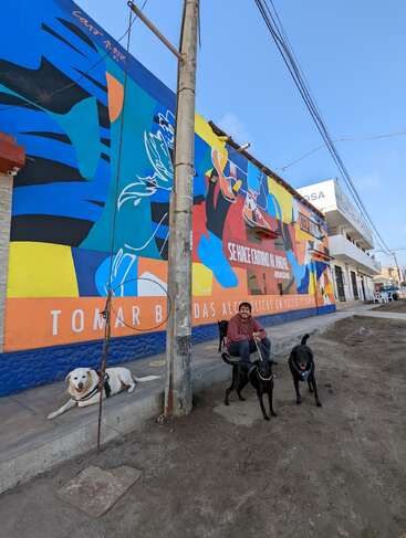 A man sits on a sidewalk with three dogs beside a colorful mural. The wall displays vibrant abstract art and Spanish text about alcohol consumption awareness.