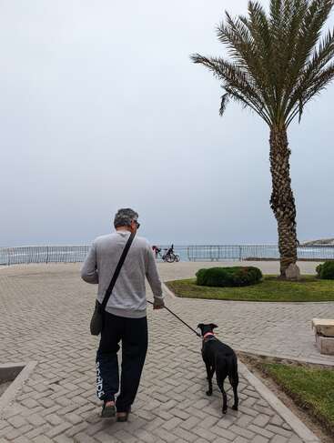 A man in casual clothes walks a black dog on a paved path near the seaside, with a palm tree and distant cyclists under a cloudy sky.