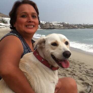 A imagem mostra uma mulher sentada em uma praia com um cachorro, tendo como pano de fundo uma cidade costeira e o mar.