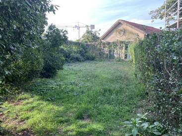Un jardin verdoyant avec de l'herbe et des buissons envahis par la végétation entoure une petite maison. Des fleurs violettes grimpent le long de la clôture. Une grue est visible à l'arrière-plan.